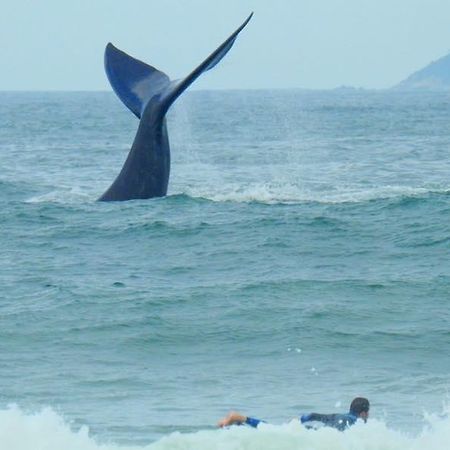 Tranquilidade Na Praia Da Gamboa Garopaba Ngoại thất bức ảnh